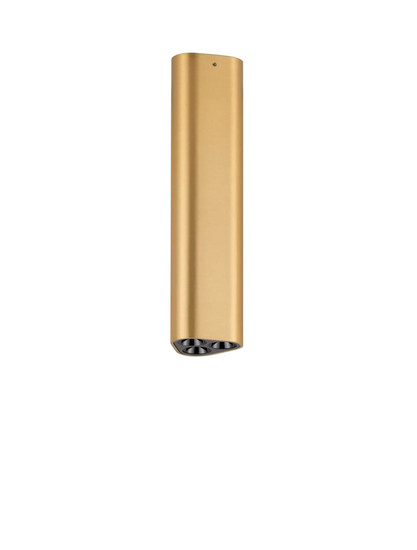 Nova Luce LED Deckenleuchte Etho 6W warmweiss 3000K Gold Aluminium 20x5cm 9695158