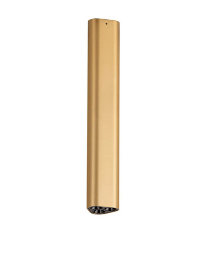 Nova Luce LED Deckenleuchte Etho 6W warmweiss 3000K Gold Aluminium 30x5cm 9695160