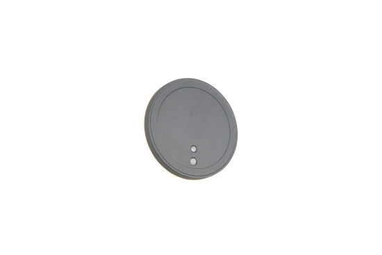 Reality R23056142 Fortaleza LED Wandleuchte 2W ⌀14cm Anthrazit IP54 warmweiss