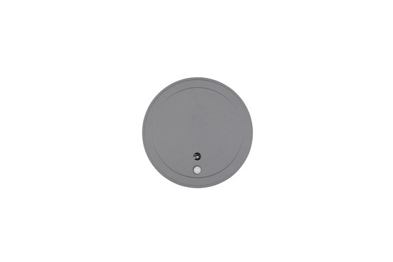 Reality R23056142 Fortaleza LED Wandleuchte 2W ⌀14cm Anthrazit IP54 warmweiss