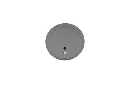 Reality R23056142 Fortaleza LED Wandleuchte 2W ⌀14cm Anthrazit IP54 warmweiss