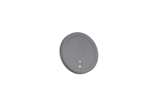 Reality R23056142 Fortaleza LED Wandleuchte 2W ⌀14cm Anthrazit IP54 warmweiss