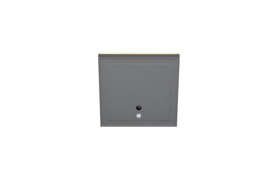 Reality R23056242 Fortaleza LED Wandleuchte 2W Anthrazit IP54 warmweiss