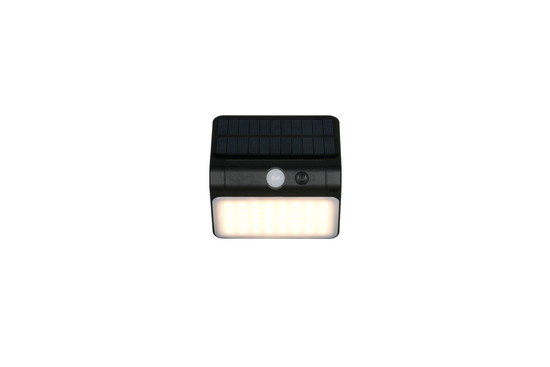 Reality R23156102 Olinda LED Wandleuchte 2,5W Schwarz IP44 neutralweiss