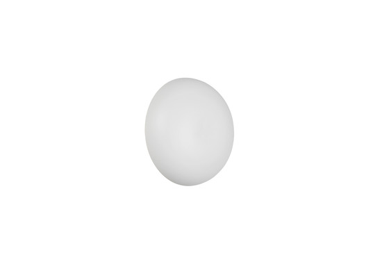 Reality R24431131 Davey LED Wandleuchte 1,5W ⌀15,5cm Weiß Matt warmweiss Touch
