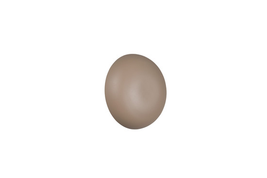 Reality R24431143 Davey LED Wandleuchte 1,5W ⌀15,5cm Warm Beige warmweiss Touch