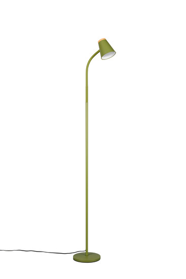 Reality R45831115 Pongo LED Stehleuchte 4,5W Grün warmweiss