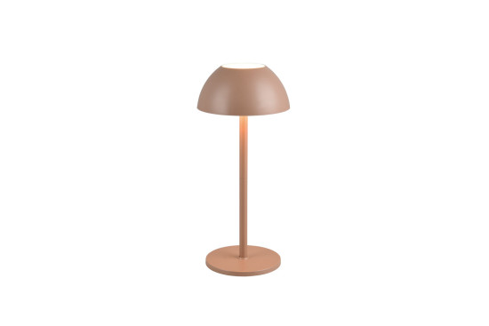 Reality R54106165 Ricardo LED Tischleuchte 1,7W ⌀13,5cm Coffee IP54 warmweiss Touch
