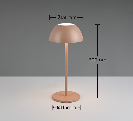 Reality R54106165 Ricardo LED Tischleuchte 1,7W ⌀13,5cm Coffee IP54 warmweiss Touch