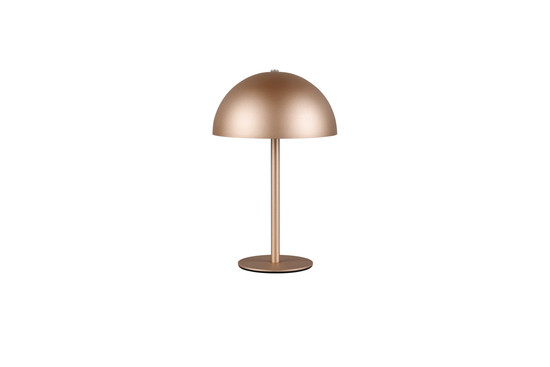 Reality R54891165 Munoz LED Tischleuchte 1,3W ⌀13cm Coffee warmweiss Touch