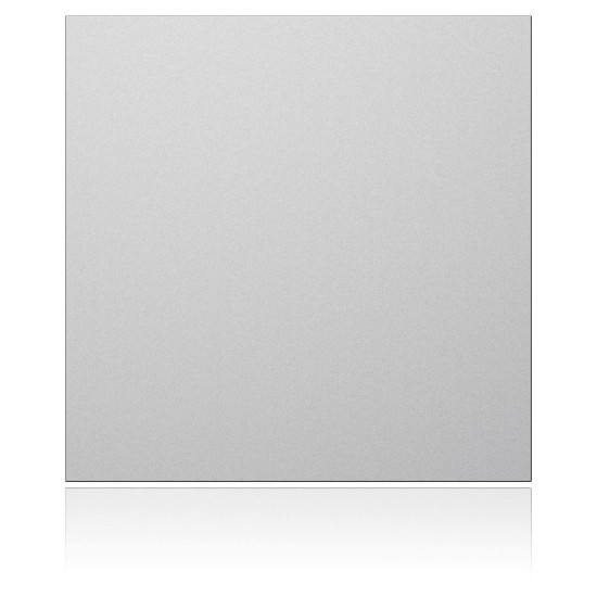 Ritto 1876620 Portier Blindmodul, silber