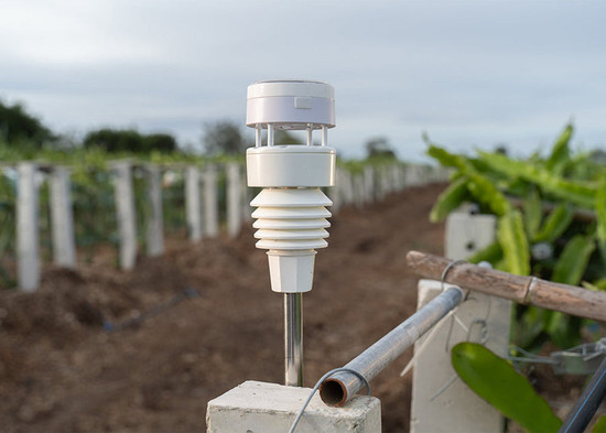 Shelly Ecowitt WS90 - Smarte Wetterstation & Sensor, Solar & Ultraschall