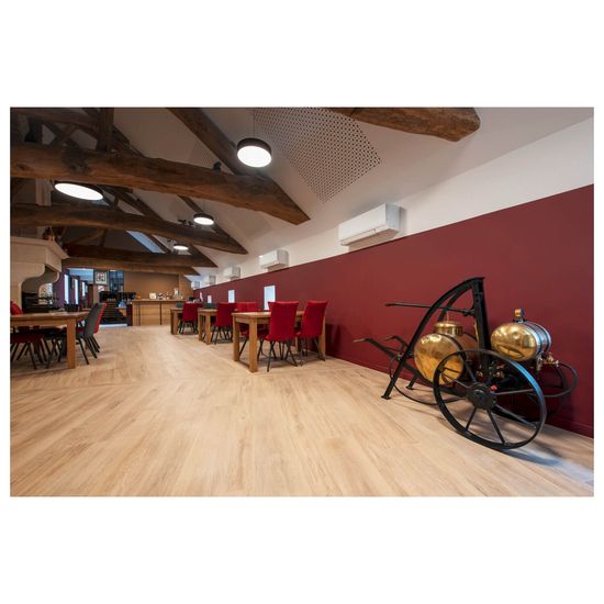 SLV 1007296 MEDO PRO 40, LED Wand-Deckenaufbauleuchte rund 3000/4000K, 19W, Phasenabschnitt, 80°, UGR<19, schwarz