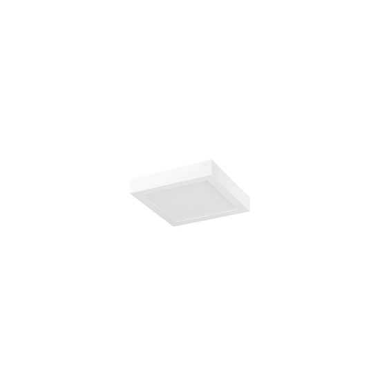 SLV 1012218 SENSER 2.0 24, CW, eckig, Phase, Wand- und Deckenaufbauleuchte, 3000K / 4000K, 23W, 90°, weiß