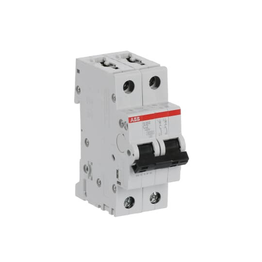 ABB S202-C2 Sicherungsautomat C-Char.,6kA,2A,2P, Made in Germany