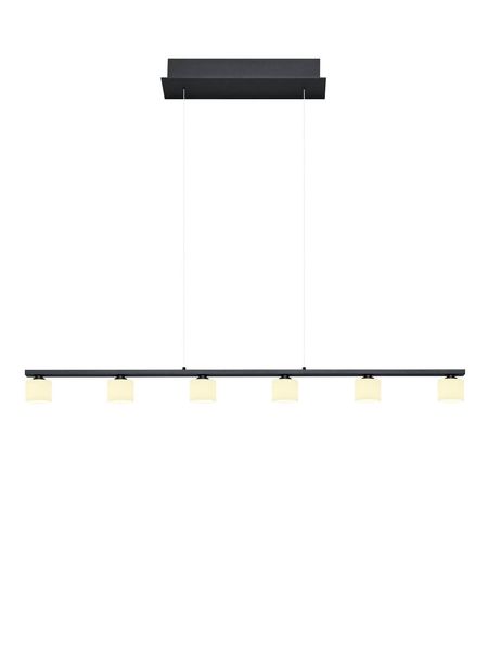 Hell Mila LED Pendelleuchte Warmweiss Dimmbar stufenlos höhenverstellbar Schwarz 20539/6-06