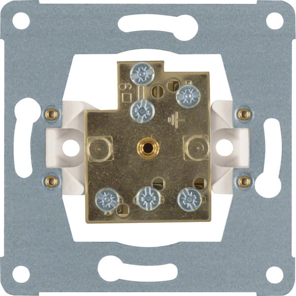 Berker 1061 Doppel-Potenzialausgleich-Steckdose Modul-Einsätze