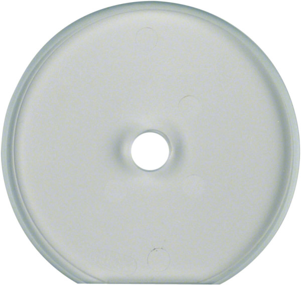 Berker 1094 Glasabdeckendplatte für Drehschalter/-taster Serie Glas klar