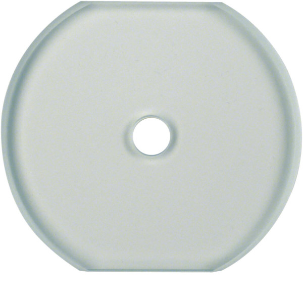 Berker 1095 Glasabdeckmittelplatte für Drehschalter/-taster Serie Glas klar