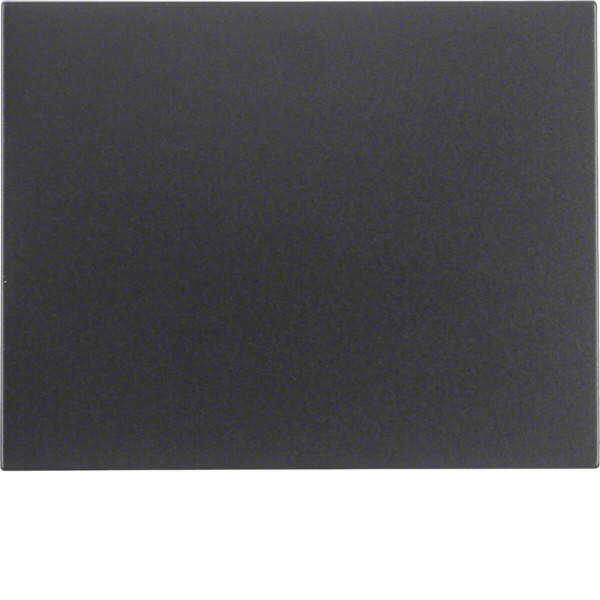 Berker 14057006 Wippe K.1 anthrazit. matt