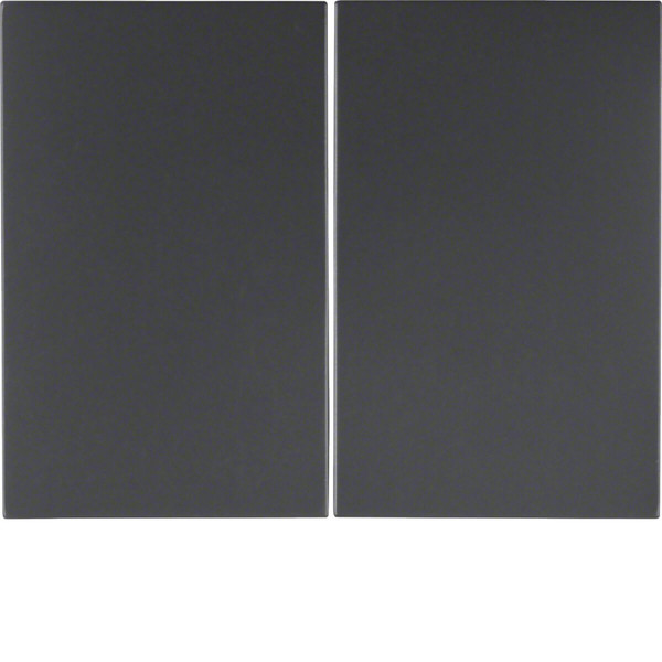 Berker 14357006 Wippe 2fach K.1 anthrazit. matt