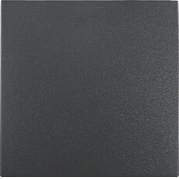 Berker 16201606 Wippe S.1/B.3/B.7 anthrazit. matt