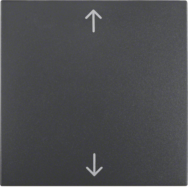 Berker 16201616 Wippe mit Aufdruck Symbol Pfeile S.1/B.3/B.7 anthrazit. matt