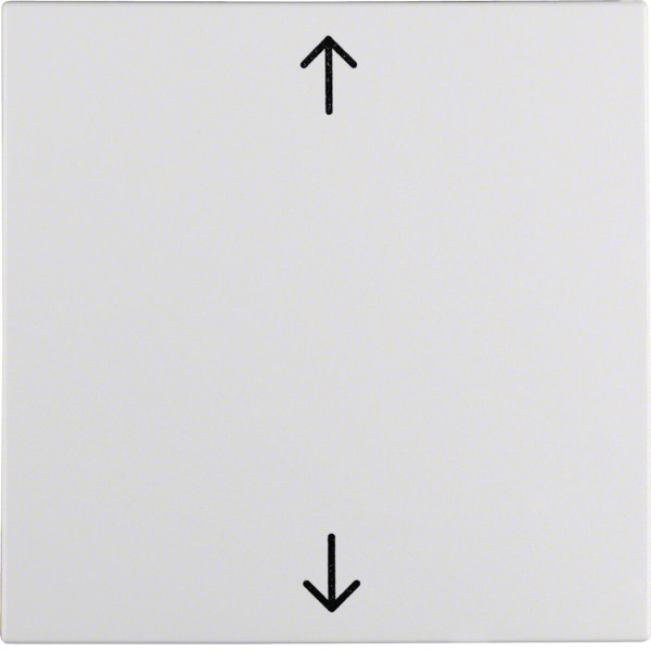 Berker 16201919 Wippe mit Aufdruck Symbol Pfeile S.1/B.3/B.7 polarweiß. matt