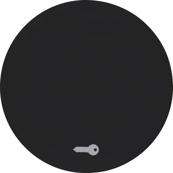 Berker 16202015 Wippe mit Aufdruck Symbol Tür R.1/R.3 schwarz. glänzend