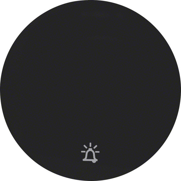 Berker 16202025 Wippe mit Aufdruck Symbol Klingel R.1/R.3 schwarz. glänzend