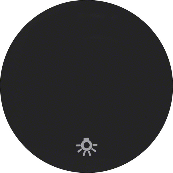 Berker 16202035 Wippe mit Aufdruck Symbol Licht R.1/R.3 schwarz. glänzend