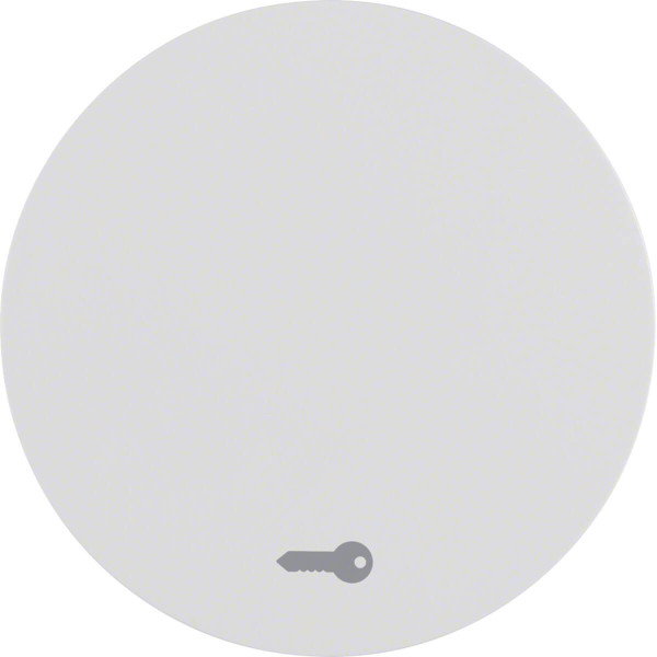 Berker 16202059 Wippe mit Aufdruck Symbol Tür R.1/R.3 polarweiß. glänzend