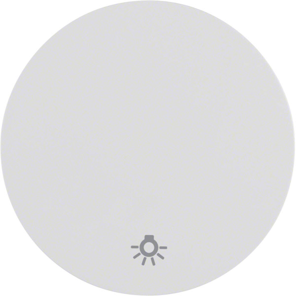 Berker 16202079 Wippe mit Aufdruck Symbol Licht R.1/R.3 polarweiß. glänzend