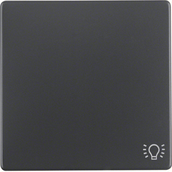 Berker 16206046 Wippe mit Aufdruck Symbol Licht Q.x anthrazit. samt