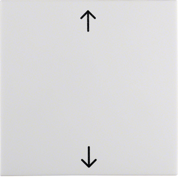 Berker 16208919 Wippe mit Aufdruck Symbol Pfeile S.1/B.3/B.7 polarweiß. glänzend