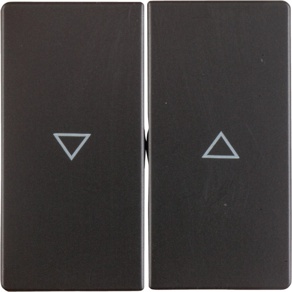 Berker 16256086 Wippe 2fach mit Aufdruck Symbol Pfeil Q.x anthrazit. samt