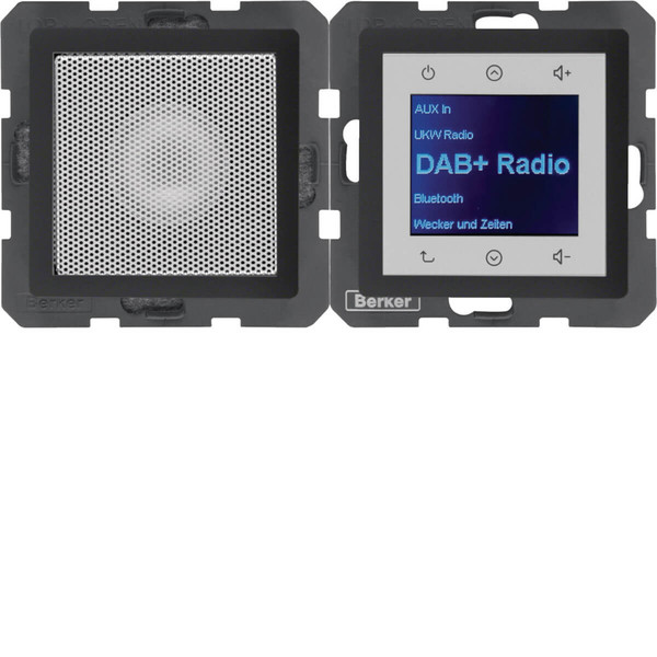 Berker 29806086 Radio Touch mit Lautsprecher DAB+ Q.x anthrazit samt