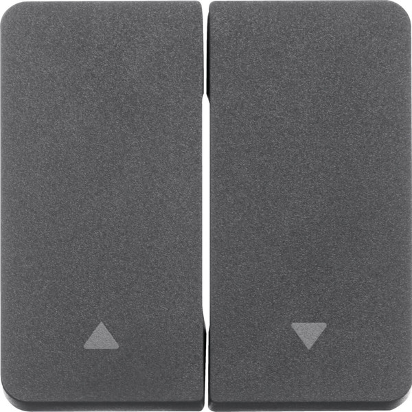 Berker 30753535 Wippe 2fach mit Aufdruck Symbol Pfeil W.1 grau LT