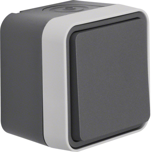 Berker 30763505 Wechselschalter AP W.1 grau LT