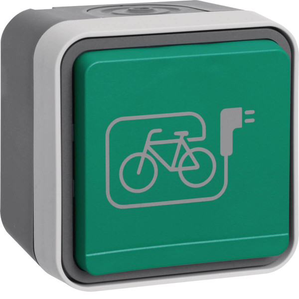 Berker 47403533 Steckdose Schuko mit grünem Klappdeckel und Symbol E-Bike AP W.1 grau