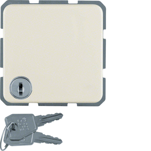 Berker 4763 Steckdose Schuko mit Klappdeckel und Schloss wg Up IP44 weiß glänzend