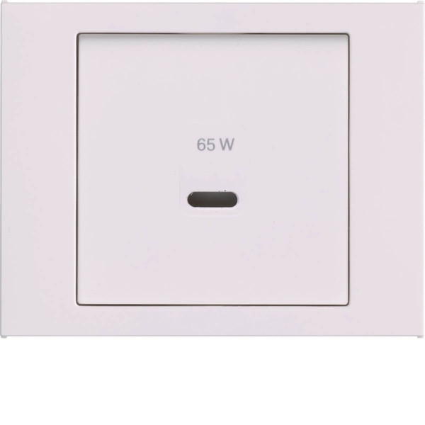 Berker 48607009 Zentralstück für USB K.x. polarweiß glänzend