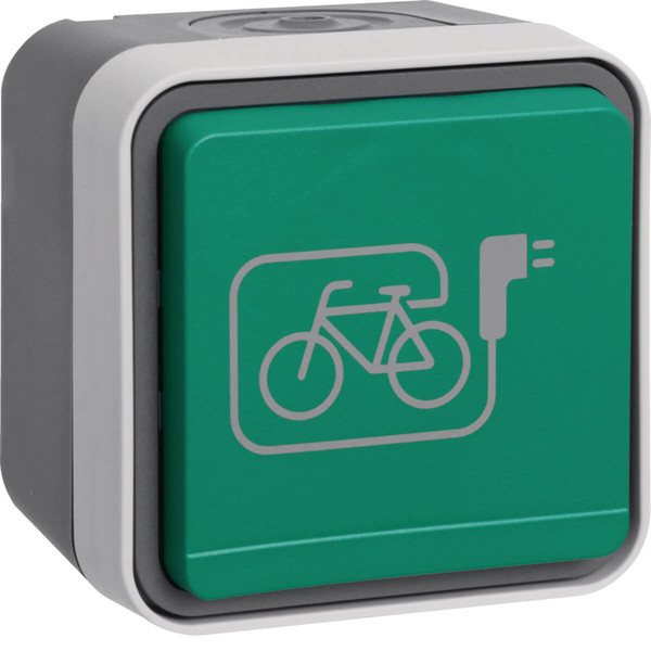 Berker 6745643513 Steckdose m. Schutzkontaktstift. grünem Klappd. und Symbol E-Bike AP W.1 grau