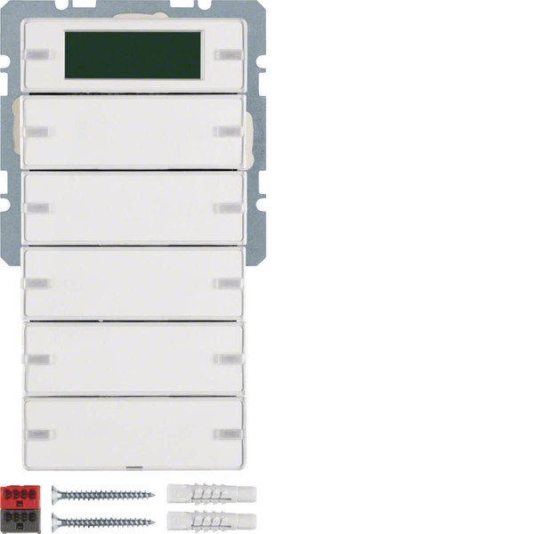 Berker 75665729 Tastsensor 5fach mit Beschriftungsfeldern. RTR. Display Q.x polarweiß. samt