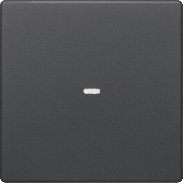 Berker 80960226 Abdeckung für Tastsensor-Modul 1fach mit Linse Q.x anthrazit. samt