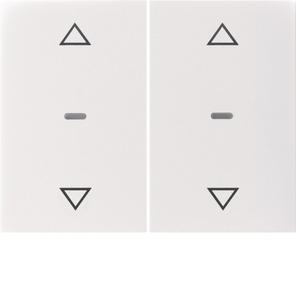 Berker 80961379 Abdeckung für Tastsensor-Modul 2fach mit Pfeil-Symbol K.x polarweiß