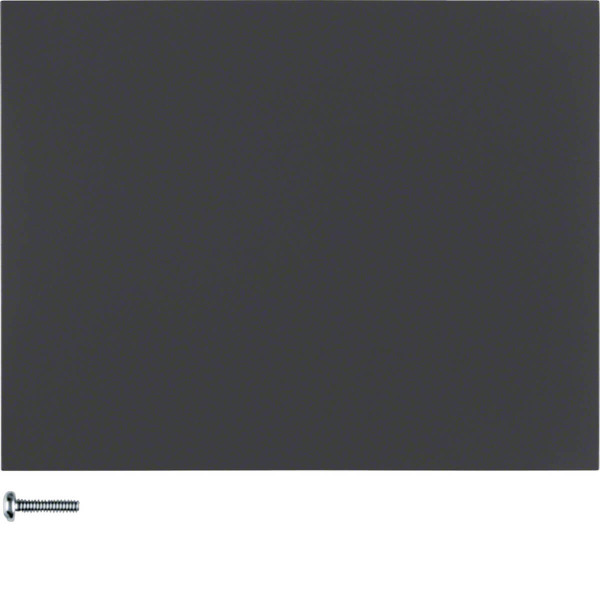 Berker 85141175 Taste 1fach K.1 anthrazit. matt