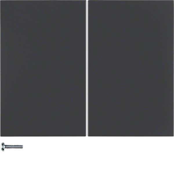Berker 85142175 Taste 2fach K.1 anthrazit. matt