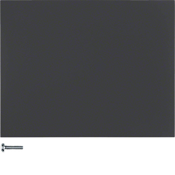 Berker 85145175 KNX-Funk Taste 1fach quicklink K.1 anthrazit. matt