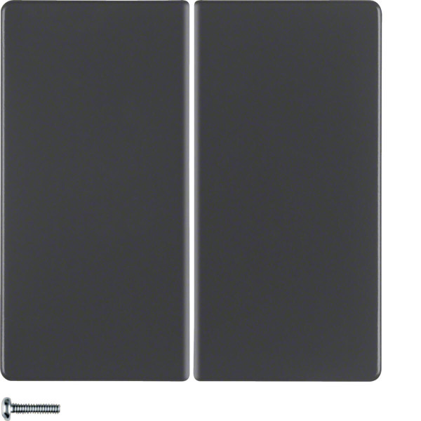Berker 85146126 KNX-Funk Taste 2fach quicklink Q.x anthrazit. samt